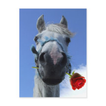 Thema "Liebe von Pferden und Rose"