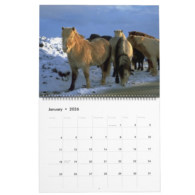 Thème islandais de 2010 chevaux de calendrier (Jan 2026)