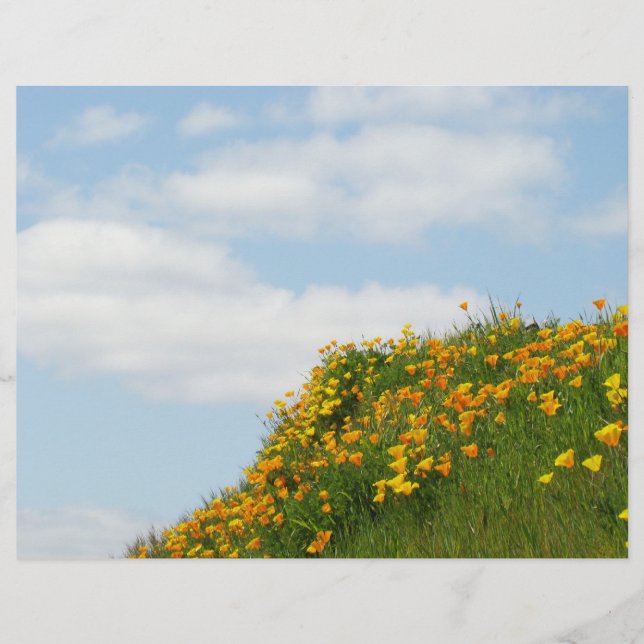 Theme Paper Flyers Blue Sky White Clouds Poppids Flyer (Vorne)
