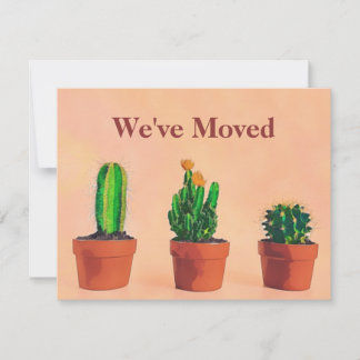 Thème Sud-Ouest Moving Faire-part Potonnés Plantes