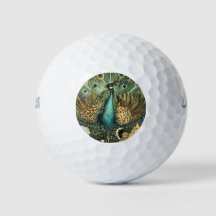 Theo Van Hoytema Vintag Peacock Open Wings Peafow