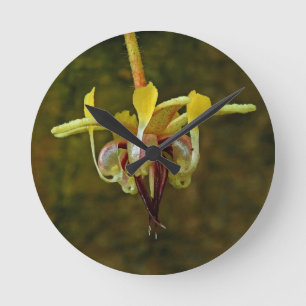 Theobroma-Kakao-Baum-Blume Runde Wanduhr