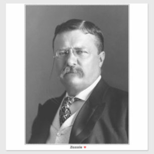 Theodor Roosevelt Teddy Präsident Republikaner Aufkleber