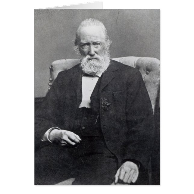 Theodor Storm, c.1886 (Vorne)