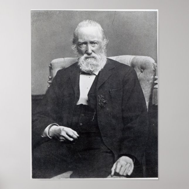 Theodor Storm, c.1886 Poster (Vorne)