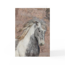Theodore - Galloping to Freedom Grußkarte