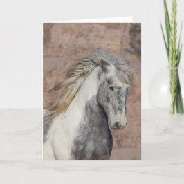 Theodore - Galloping to Freedom Grußkarte Karte