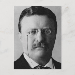 Theodore Roosevelt 26 Postkarte
