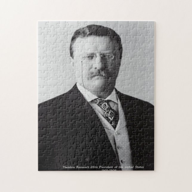 Theodore Roosevelt 26. Präsident von Amerika. (Vertikal)