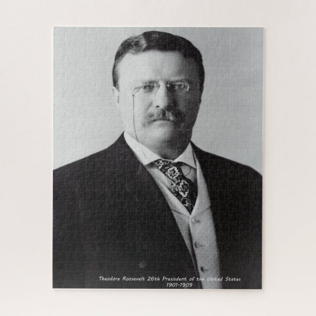 Theodore Roosevelt 26. Präsident von Amerika (Vertikal)