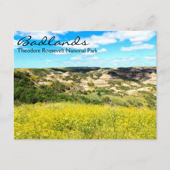 Theodore Roosevelt Badlands, carte postale ND (Devant)
