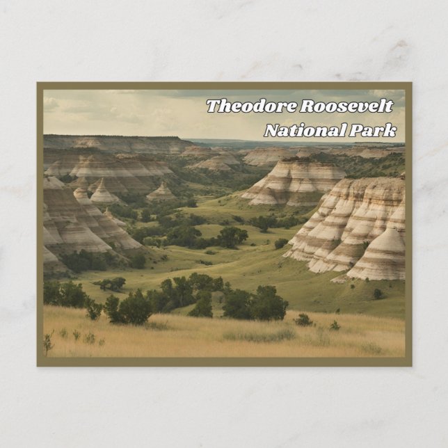 Theodore Roosevelt Nationalpark Vintag Postcard Postkarte (Vorderseite)