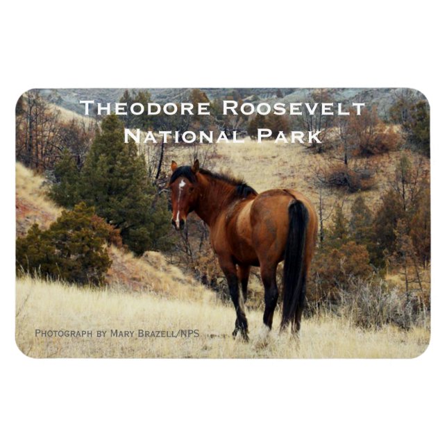 Theodore Roosevelt NP Souvenir Magnet (Horizontal)
