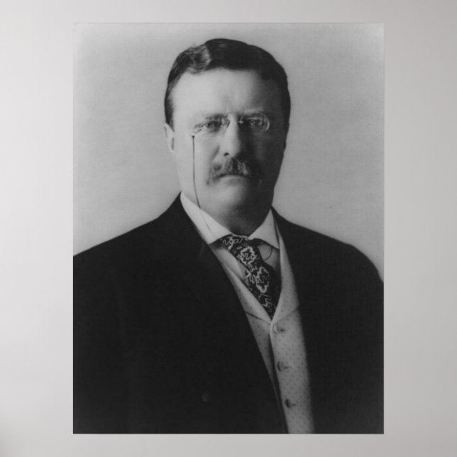 Theodore Roosevelt Portrait Poster (Vorne)
