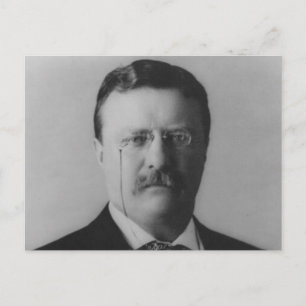 Theodore Roosevelt Portrait Postkarte