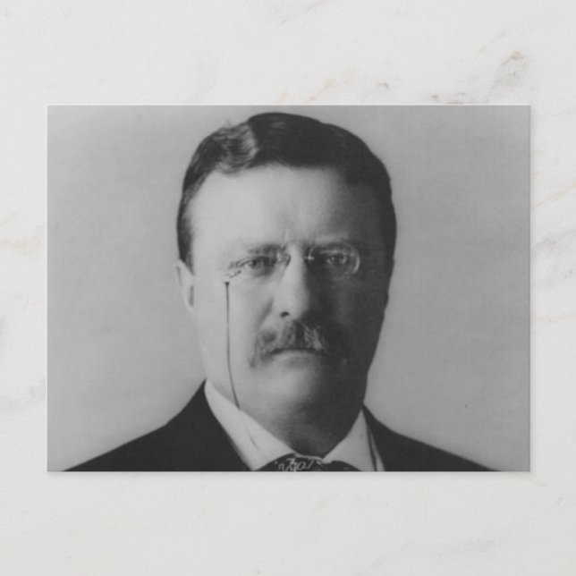 Theodore Roosevelt Portrait Postkarte (Vorderseite)