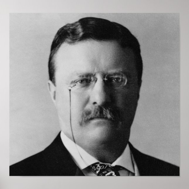 Theodore Roosevelt Poster (Vorne)