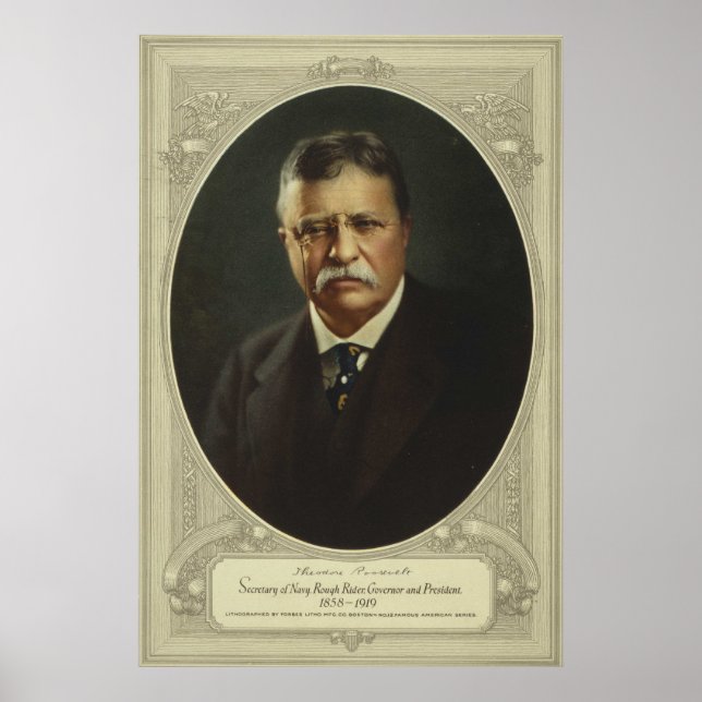 Theodore Roosevelt Poster (Vorne)