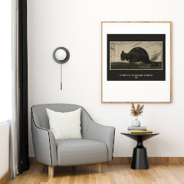 Théophile Steinlen, schwarze Katze, die sich den R Poster