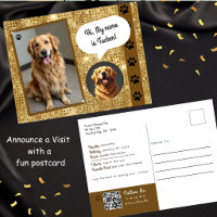 Therapie-Hund-Besuch Gold Sparkle