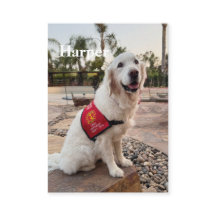 Therapiehund-Handelskarte für Therapiehund-Besuche