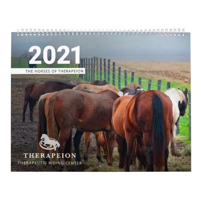 Therapiepferde 2021 Kalender (Titelbild)
