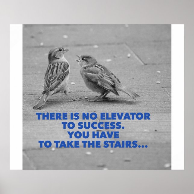 There is no elevator to success - motivation poster (Vorne)