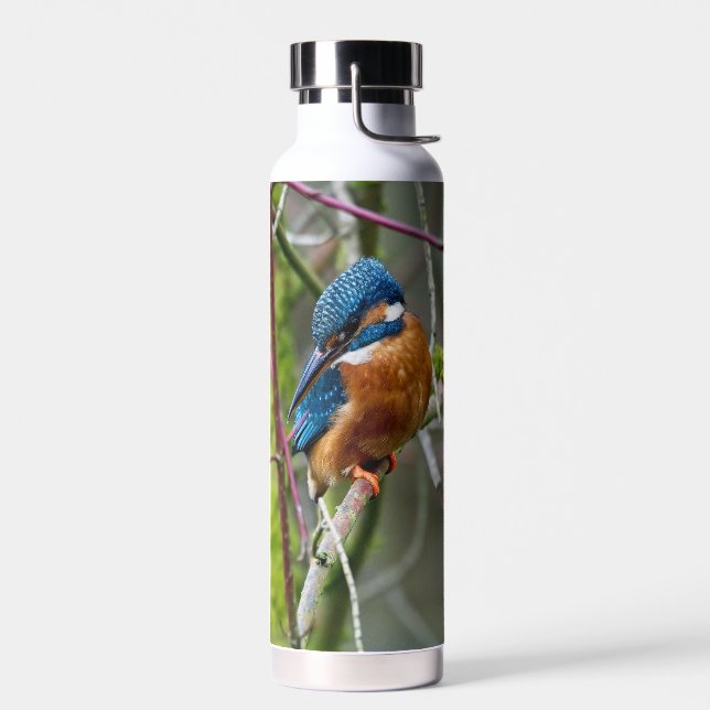 Thermalflasche mit Bild eines Eisvogel Trinkflasche (Links)