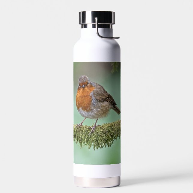 Thermische Flasche mit einem Foto Robin (Links)