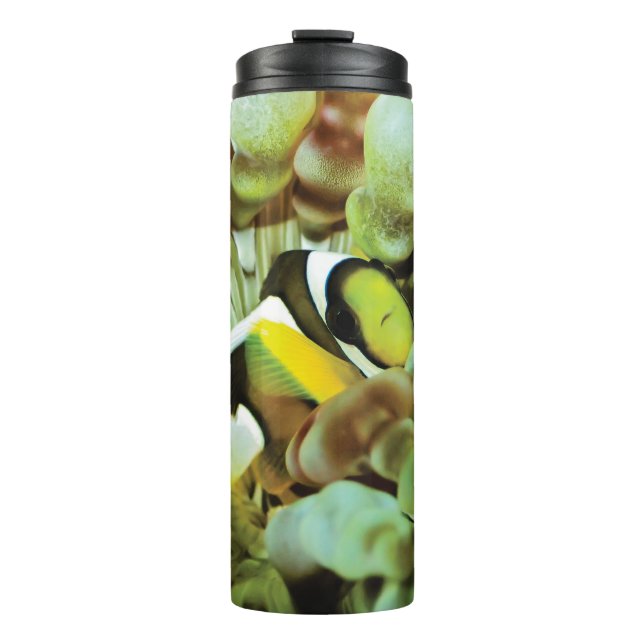 Thermische Tasse mit clownfish Entwurf (Vorderseite)