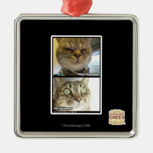 Thermometer Silbernes Ornament