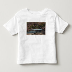 Thermopolis, WY - Big Horn-Quellen-Ansicht Kleinkind T-shirt