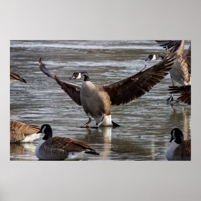 Thin Ice Poster (Vorne)