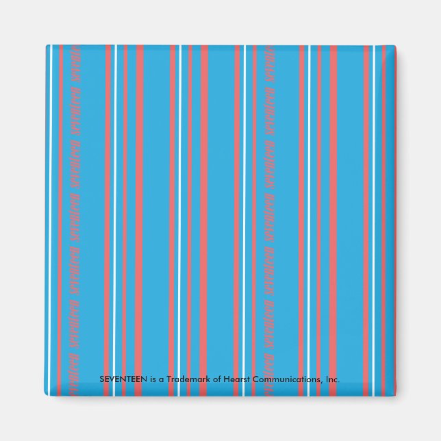 Thin Stripes Aqua Magnet (Vorne)