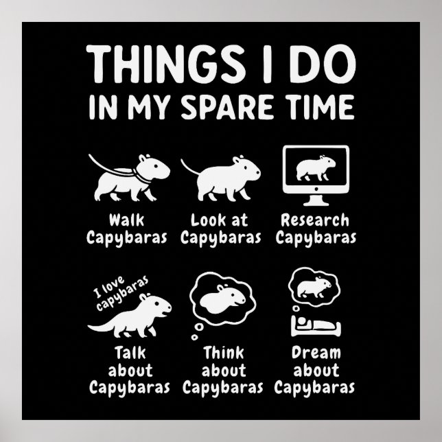 Things I Do In My Spare Time Capybara Funny Poster (Vorne)
