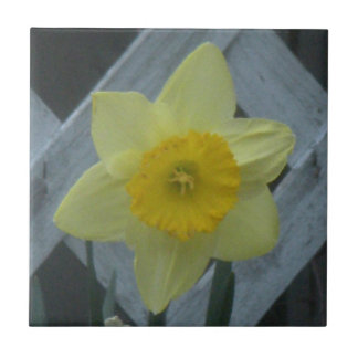 Think Spring! Fliese