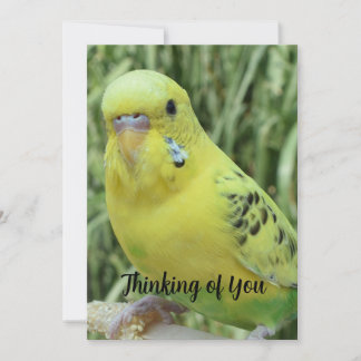 Thinking of You card Einladung