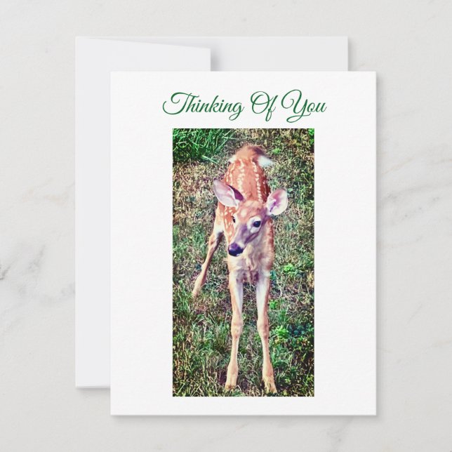 Thinking Of You Flat Note Card With Fawn Mitteilungskarte (Vorderseite)