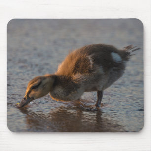Thirsty Baby Mousepad