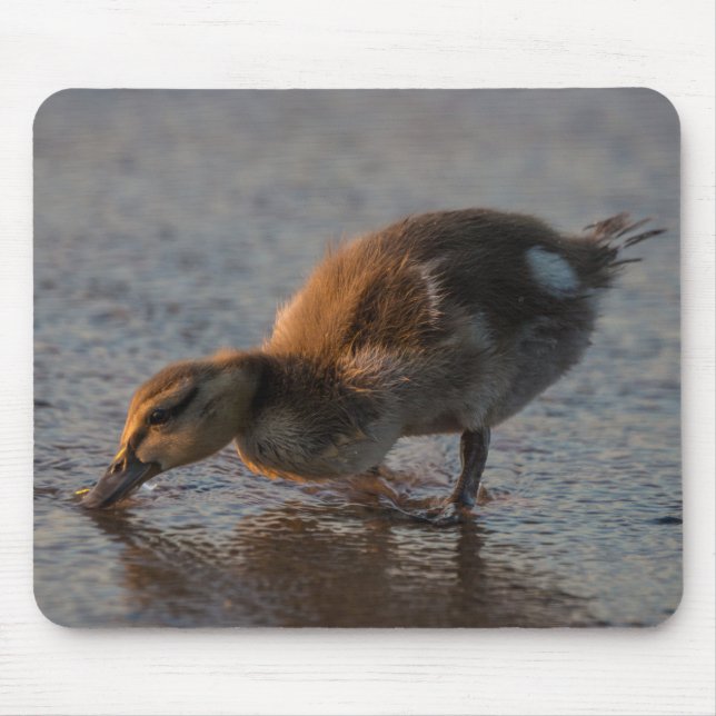 Thirsty Baby Mousepad (Vorne)