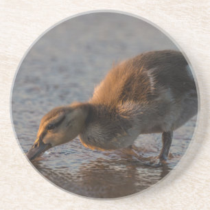 Thirsty Baby Untersetzer