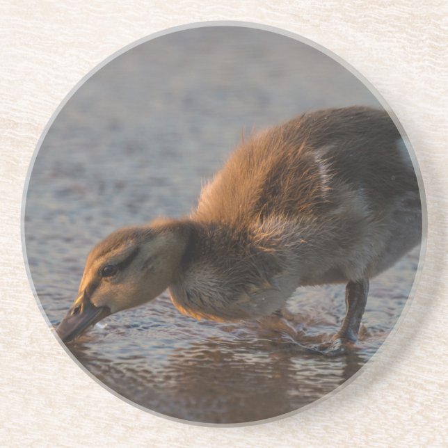 Thirsty Baby Untersetzer (Vorne)