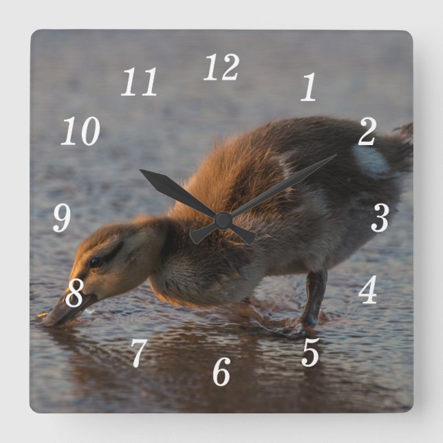 Thirsty Baby Wall Clock Quadratische Wanduhr (Vorderseite)