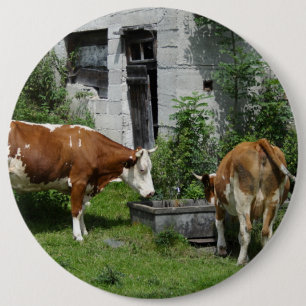 Thirsty Fleckvieh Button