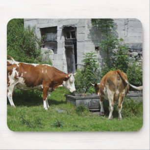 Thirsty Fleckvieh Mousepad