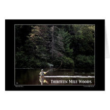 Thirteen Mile Woods NH