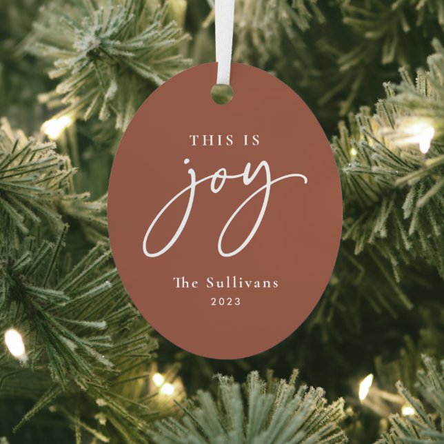 This is Joy Terracotta Photo Holiday  Ornament Aus Metall (InSitu)
