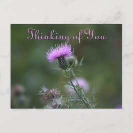 Thistle Blume Denken Sie an Postkarte