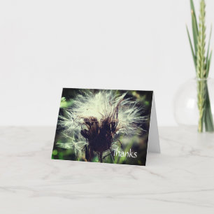 Thistle Fluff Blume Danke, Card Dankeskarte