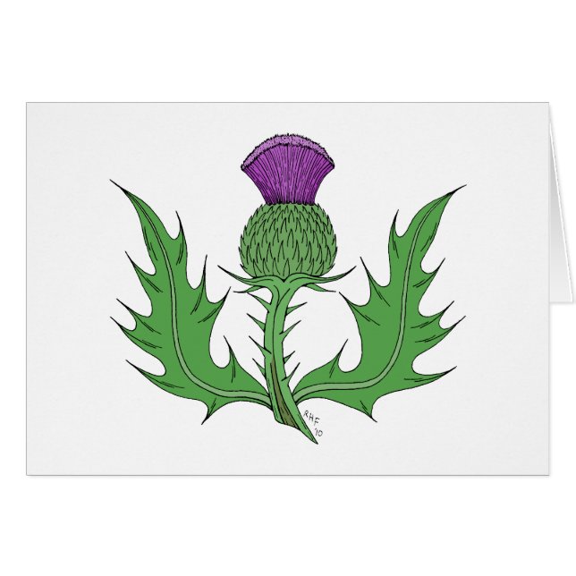 Thistle Grußkarte (Vorderseite (Horizontal))